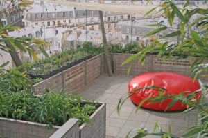 P21-Rooftop