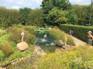 LilyPond Zwemvijver